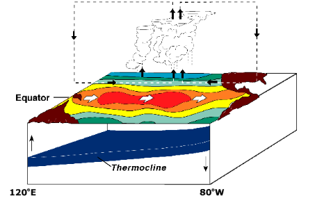 엘니뇨(El Niño)